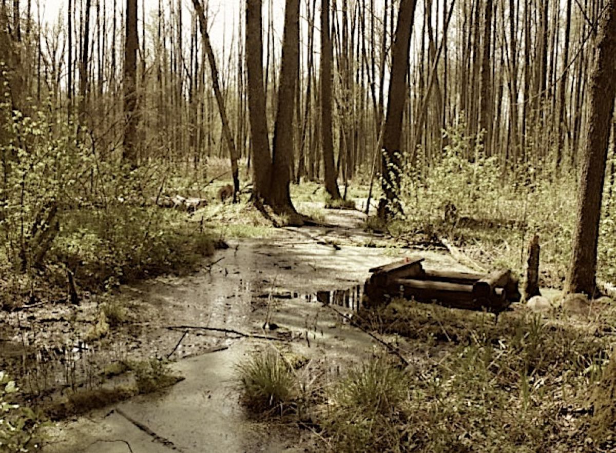 Бычин колодец: Три глотка благодати