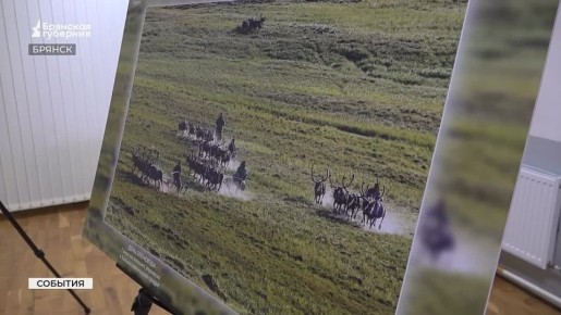 В Брянском художественном музейно-выставочном центре «Ночь искусств» организаторы посвятили 180-летию Русского географического общества