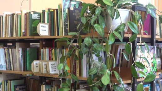 Брянские библиотеки получат шанс стать модельными в 2026 году