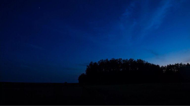 Смертоносные дроны ВСУ не сунулись в Брянскую область