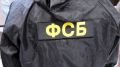 ФСБ задержали брянца за экстремистские комментарии в соцсети