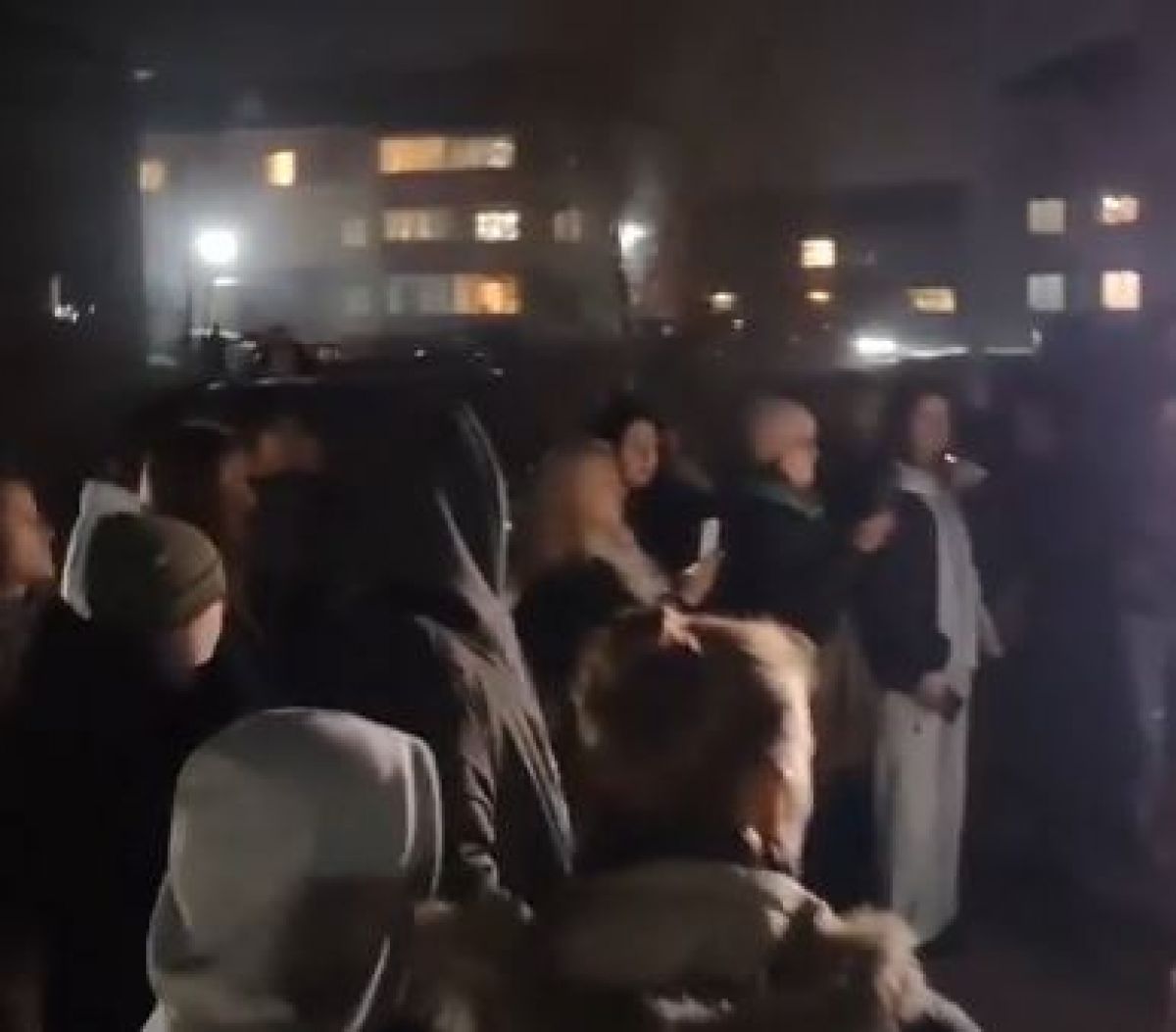 Застреленного в Брянске хаски Барсика будут вскрывать в Москве