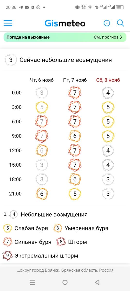 В столицу Брянской области пришла магнитная буря