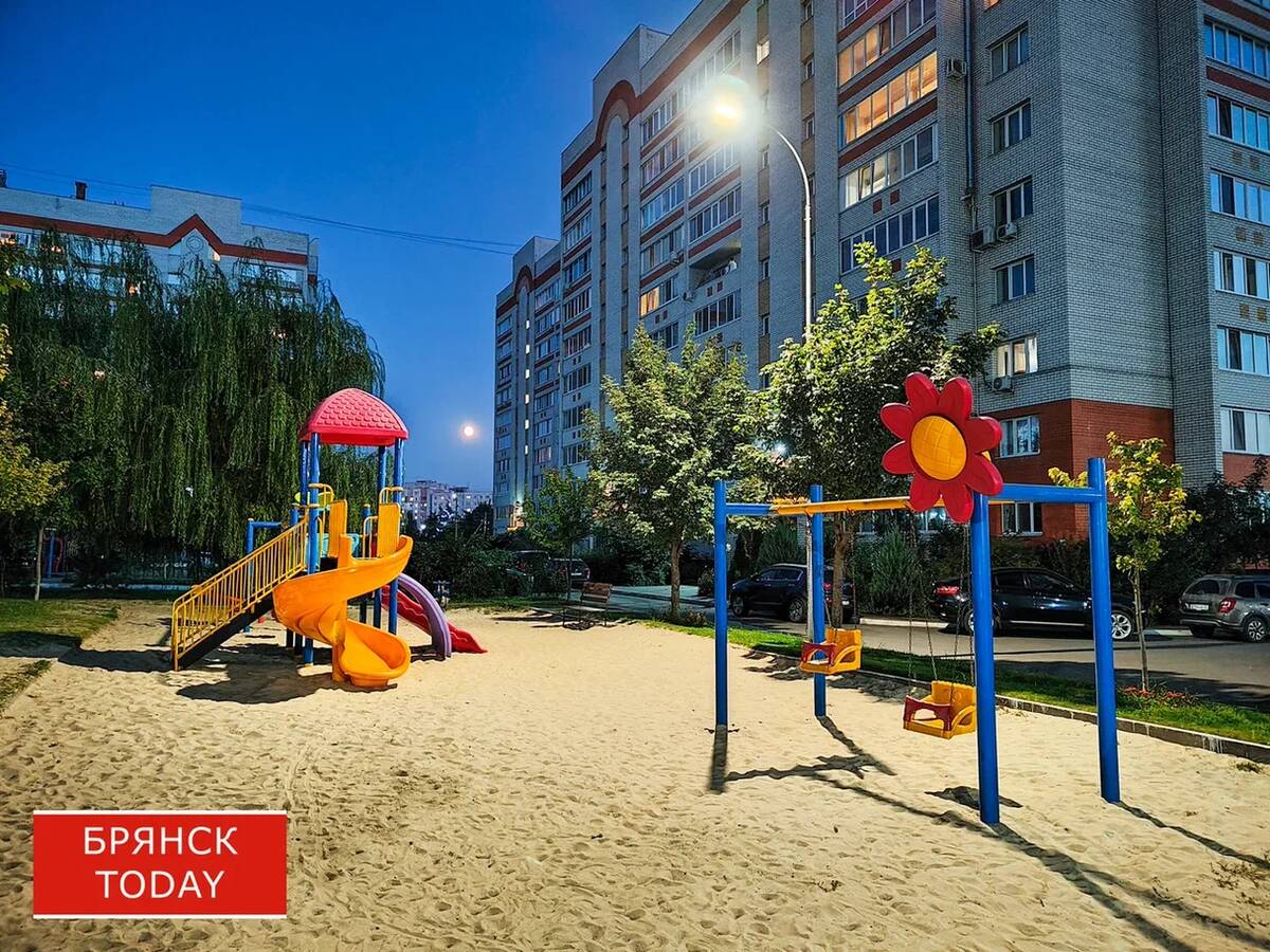 Депутат Госдумы: рынок нянь в Брянской области нуждается в регулировании