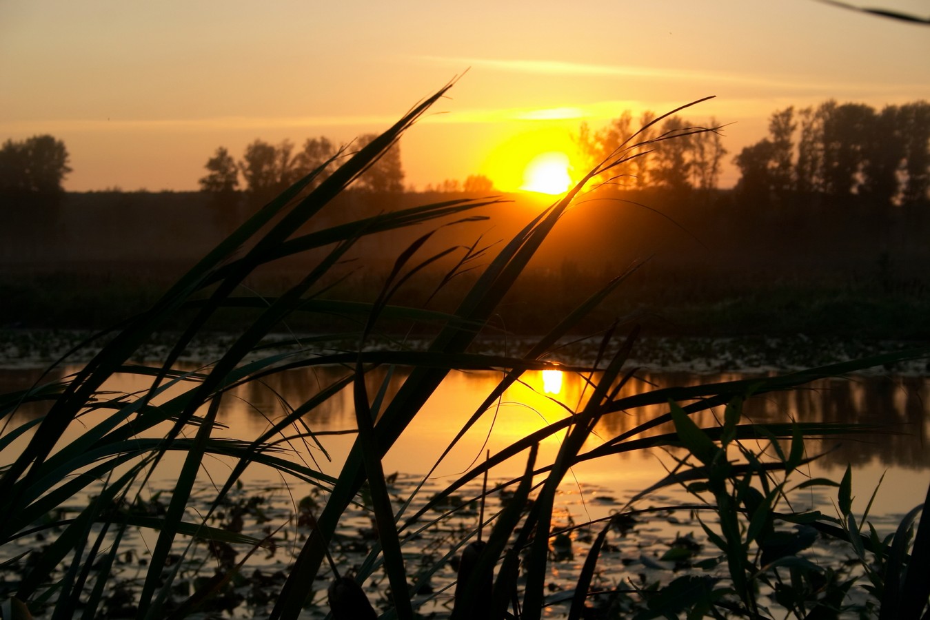 На выходных погода порадует брянцев +9 градусами и отсутствием дождя