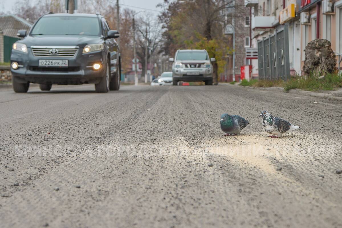 На Камозина в Брянске убрали старый асфальт