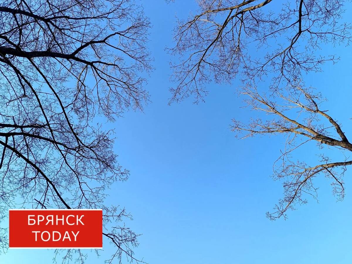 Врач рассказал брянцам, как пережить магнитные бури