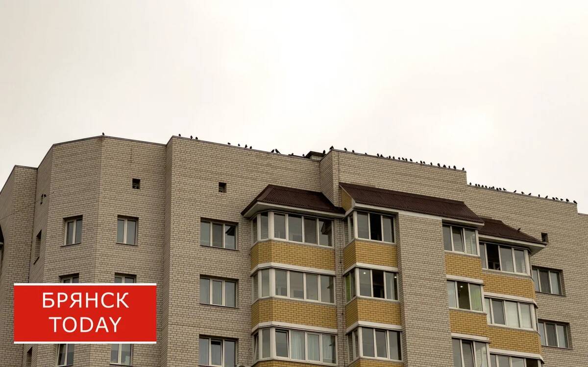 В Брянске растёт волна мошенничества с квартирами