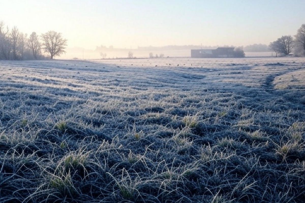 Заморозки ударят по территории Брянской области