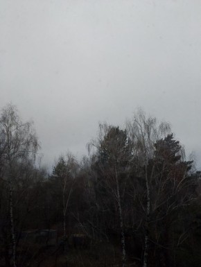 Сегодня брянцев ожидает туманная погода