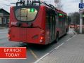 В брянских троллейбусах произошёл масштабный сбой в работе валидаторов
