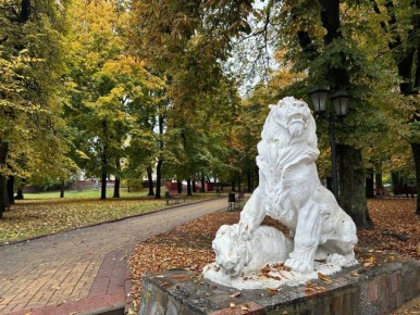 Аномально теплые выходные пообещали брянцам синоптики