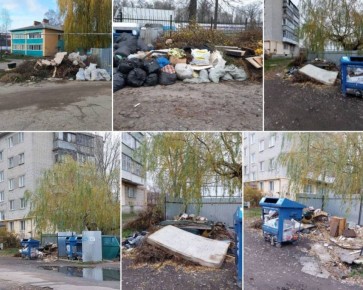 В Новозыбкове сняли на фото мусорный апокалипсис