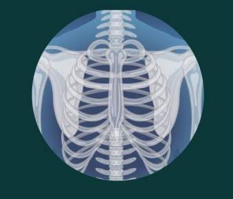 Искусственный интеллект стал помощником брянских врачей-рентгенологов