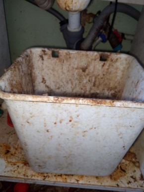 В Новозыбкове прокуратура устроила проверки из-за статьи о мусорном коллапсе в пресса