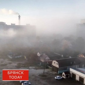 Брянскую область вновь накроют туманы