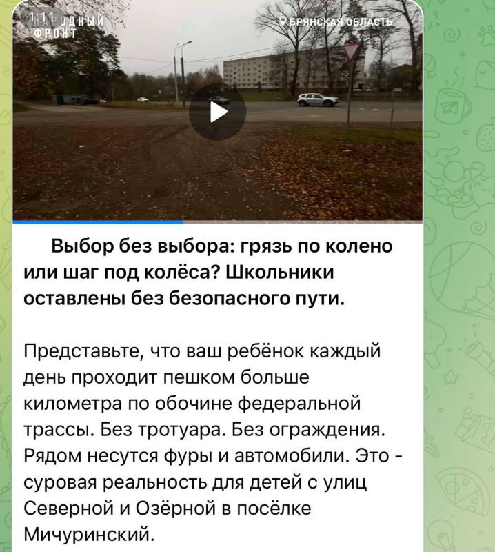 Обратная связь: прокуратура Брянского района проверит видеообращение жителей п. Мичуринский