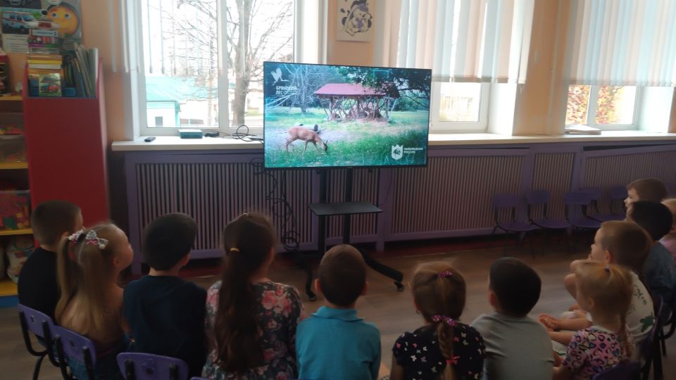 Для расширения представления у детей о экологической культуры Брянского края, формирования осознанно-правильного отношения к соблюдению правил поведения в лесу, бережного отношения к живой и неживой природе, организованно...