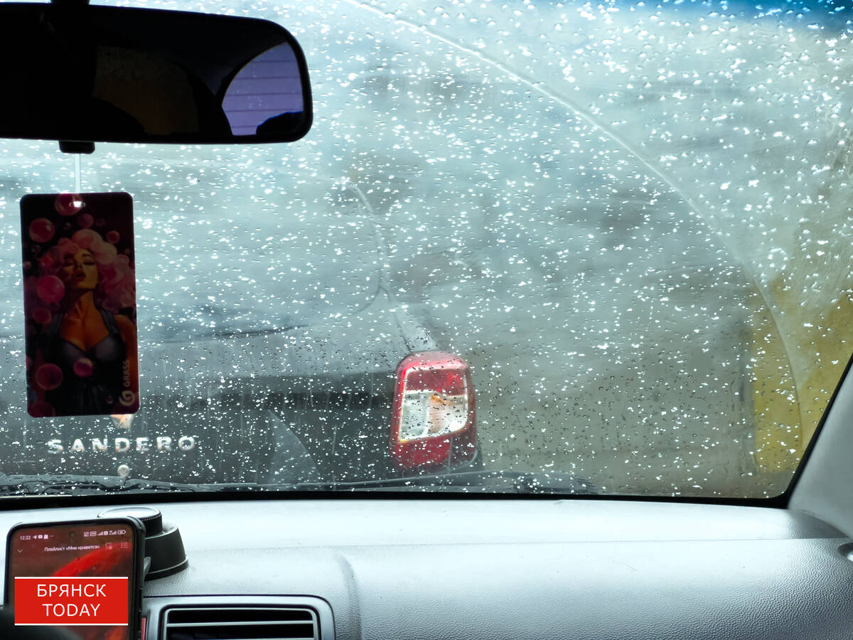 Долгожданный полноценный: в Брянске повалил снег