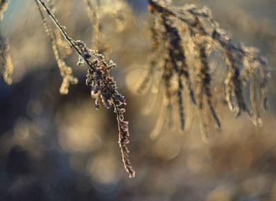 В Брянской области резко похолодало