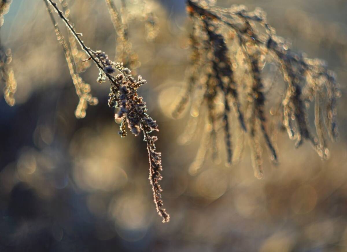 В Брянской области резко похолодало