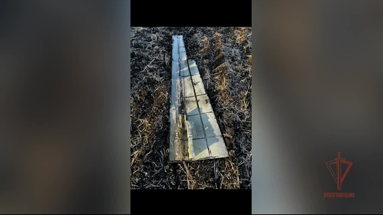 Ежесуточно мобильные группы Росгвардии сбивают беспилотники ВСУ в приграничье