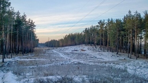 Ночью в Брянской области температура воздуха опустится до 6 градусов