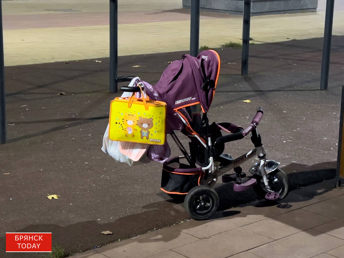 Почётные знаки Брянской области «Материнская слава» получили 22 женщины