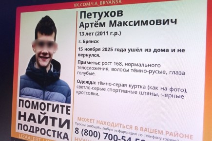 Поиски пропавшего брянского подростка завершились
