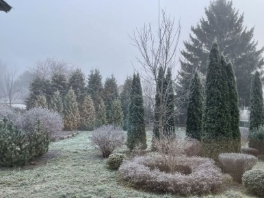 Брянск проснулся в зимней сказке: город укрылся инеем за одну ночь. Фоторепортаж
