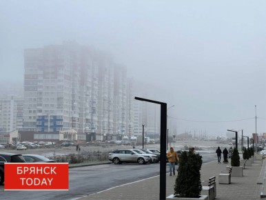 О двух погодных угрозах предупредили брянцев синоптики