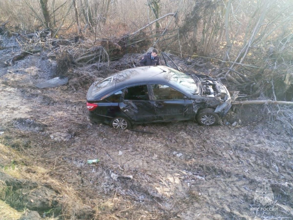 Автомобиль вылетел с трассы под Брянском: на месте работали спасатели