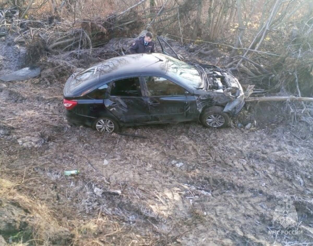 Иномарка разбилась возле Новой Москвы в Брянской области