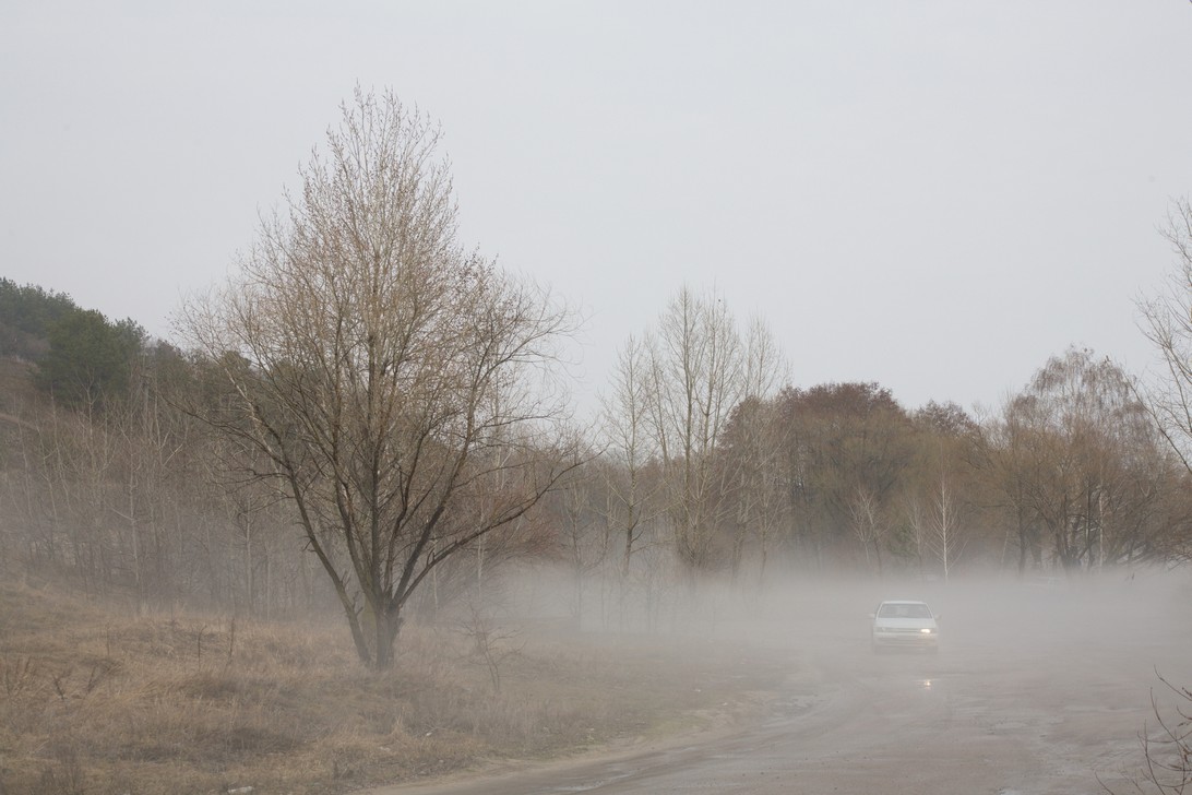 Брянцам назвали дни без дождя на неделе