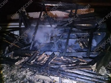 5-летний ребенок и 46-летний мужчина погибли на пожаре в Новозыбкове