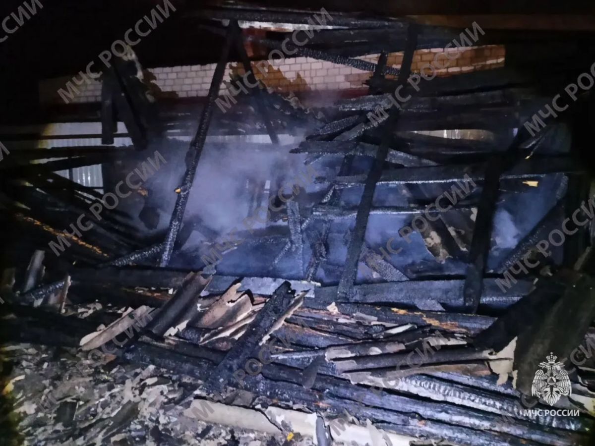 5-летний ребенок и 46-летний мужчина погибли на пожаре в Новозыбкове