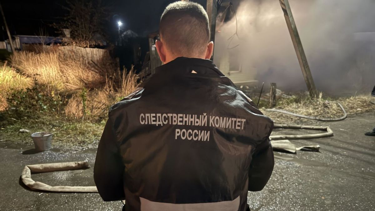 В Брянской области возбудили уголовное дело после гибели ребенка в ночном пожаре