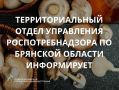 ТЕРРИТОРИАЛЬНЫЙ ОТДЕЛ УПРАВЛЕНИЯ РОСПОТРЕБНАДЗОРА ПО БРЯНСКОЙ ОБЛАСТИ ИНФОРМИРУЕТ ЖИТЕЛЕЙ НОВОЗЫБКОВСКОГО ГОРОДСКОГО ОКРУГА!