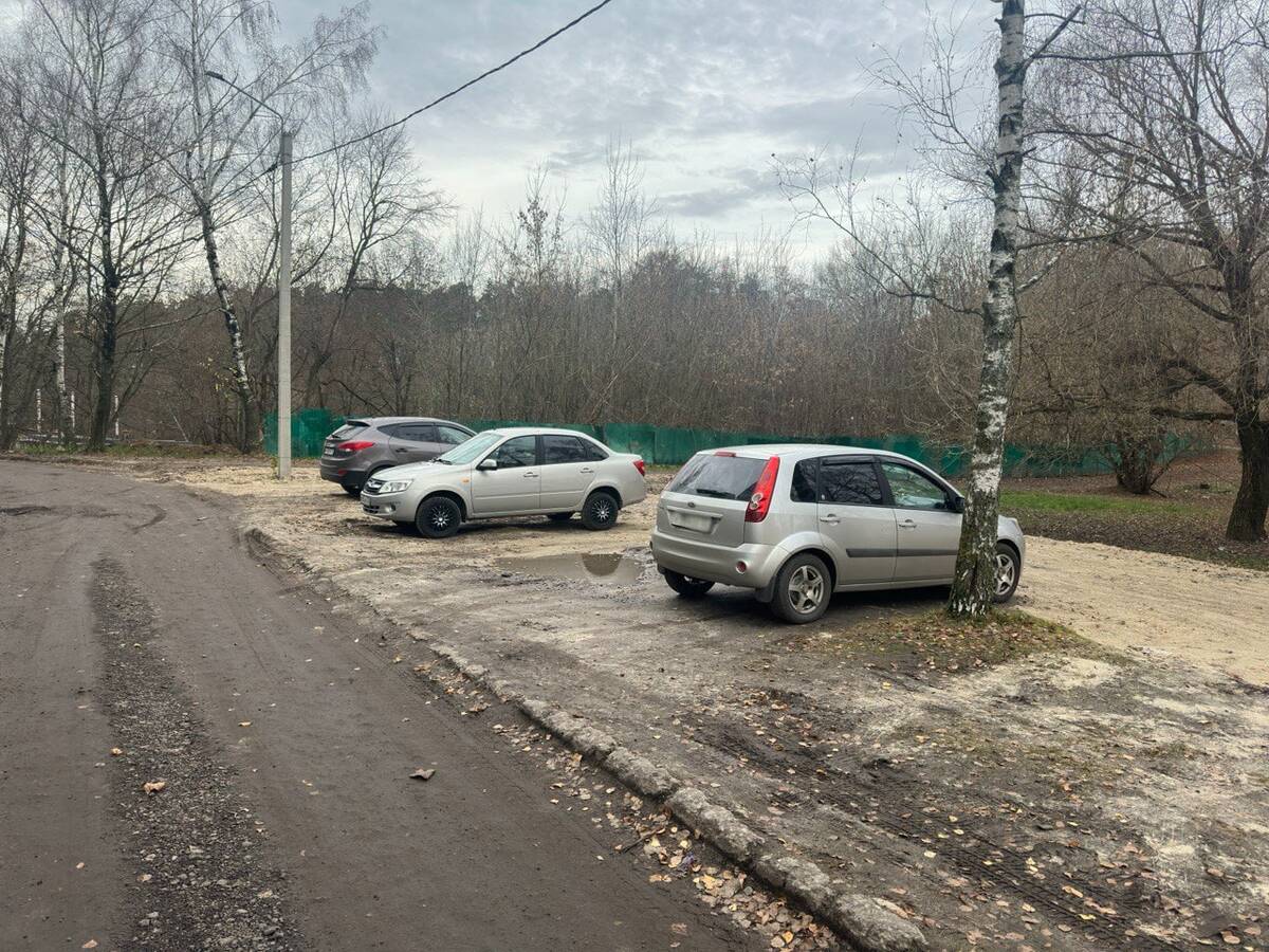 Урочище «Лесные сараи» держит оборону под натиском незаконной парковки