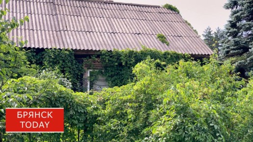 Суд признал право ребенка погибшего участника СВО на земельный участок в Новозыбкове