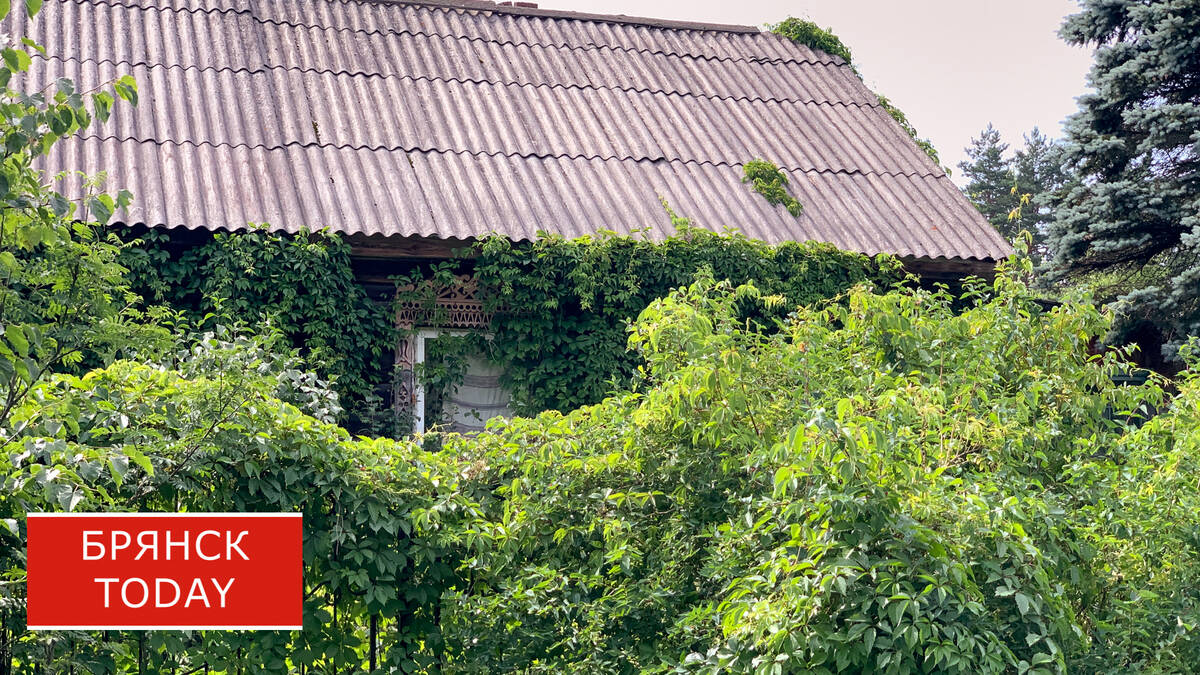 Суд признал право ребенка погибшего участника СВО на земельный участок в Новозыбкове