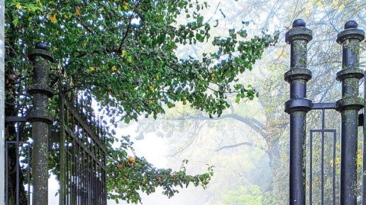 В Брянске представят фотовыставку Ларисы Березуцкой «За туманом»