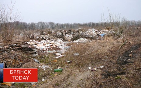 Старые полигоны ТКО в Брянской области будут принимать мусор до 2029 года