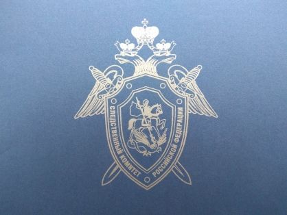 Руководитель и сотрудники следственного управления СК России по Брянской области примут участие в мероприятиях, посвященных Дню правовой помощи детям