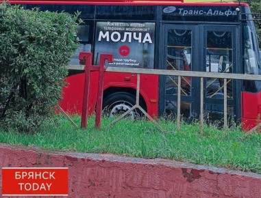 В этом году брянцы отдали мошенникам более 670 млн рублей