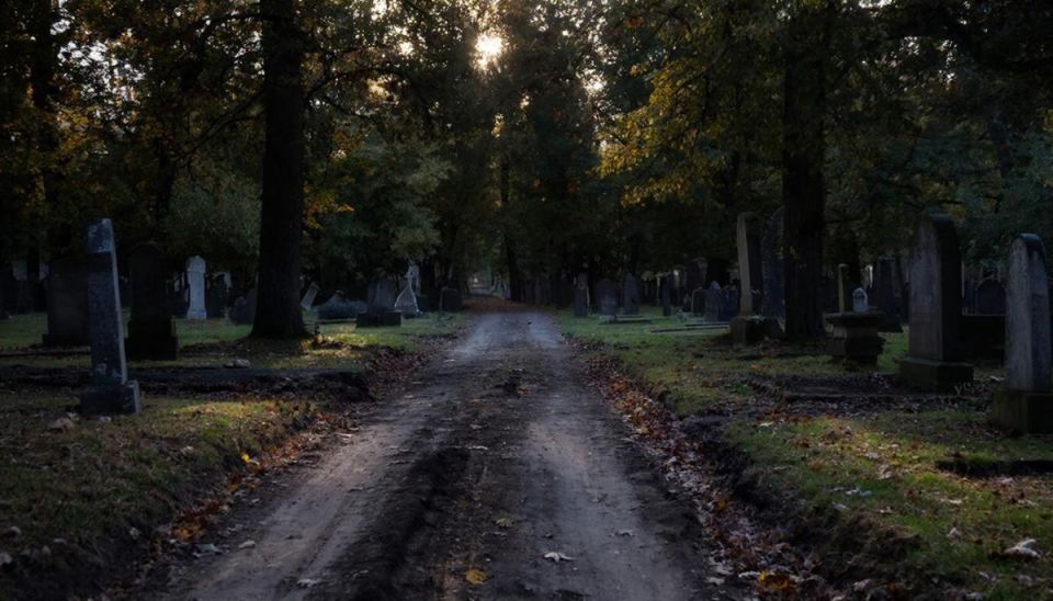 От «Брянской мясной компании» просят освободить единственную дорогу к кладбищу