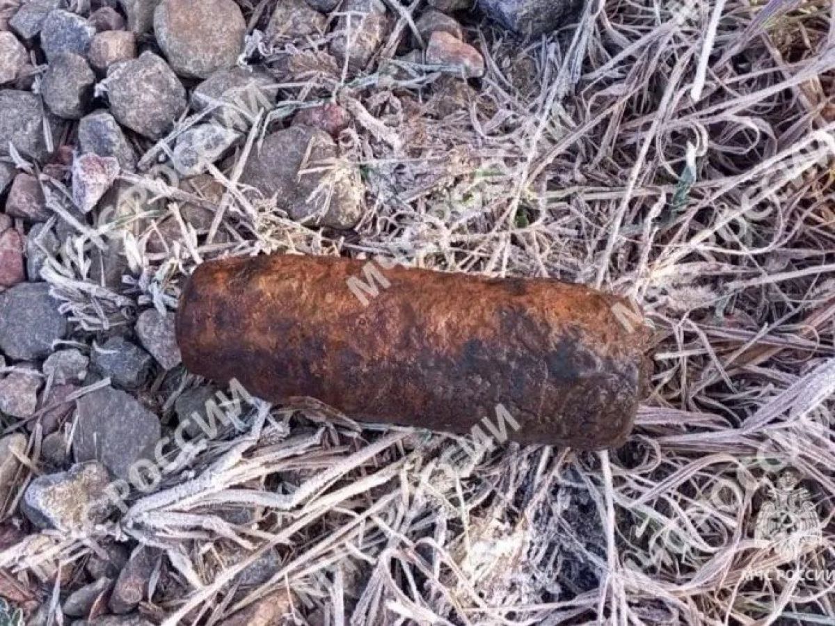 Под Унечей предотвратили взрыв