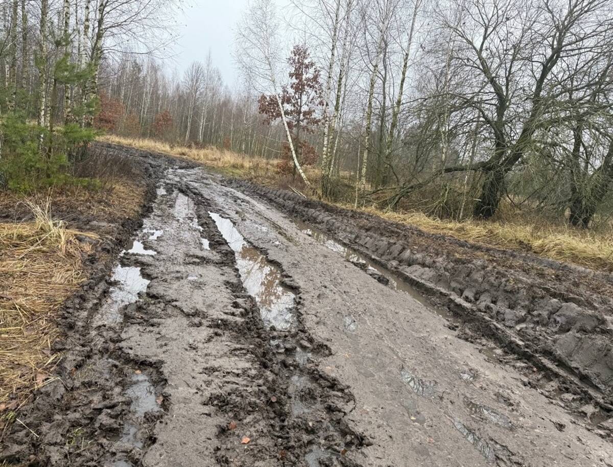Дорогу к брянскому посёлку грузовики превратили в непроходимое месиво