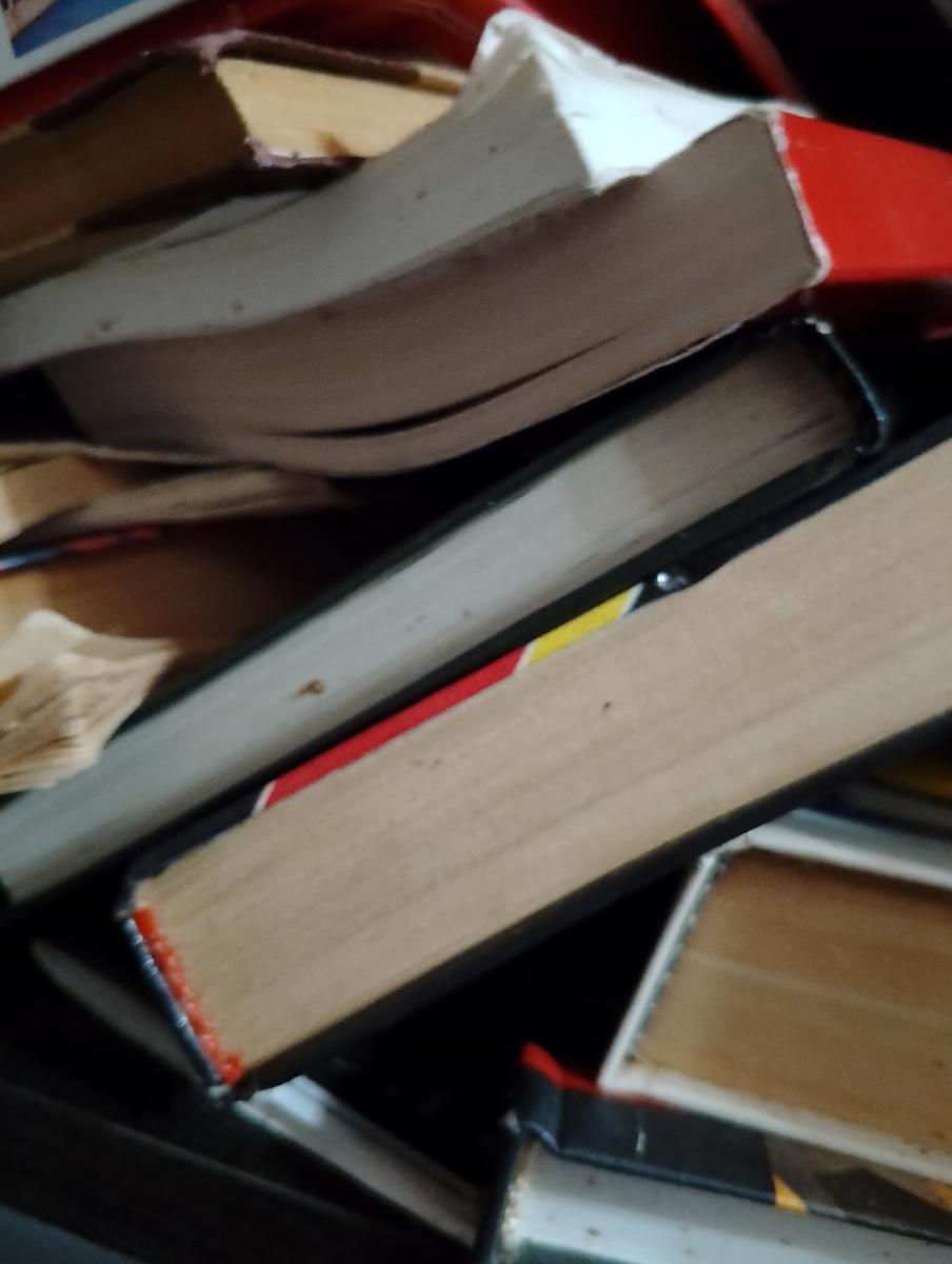 На Брянщине все вывески и указатели будут написаны по-русски