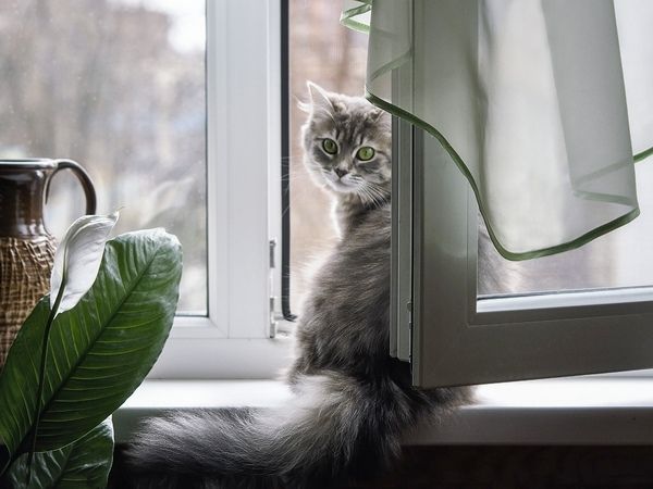 Последнее слово в прогнозе всегда остается за погодой. Представляем прогноз на 22 ноября в Брянске